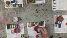 Load and play video in Gallery viewer, Intro to Enameling: Enameled Dangle Earrings (8 hours) | November 15th +16th