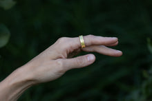 Load image into Gallery viewer, ring of pollen
